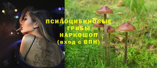 PSILOCYBIN Бронницы